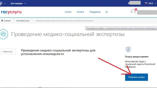 Ряд сервисов Госуслуг предназначен для инвалидов