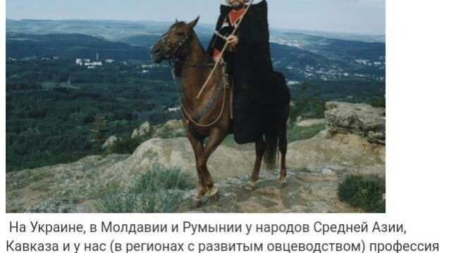 Я Автор - произведение