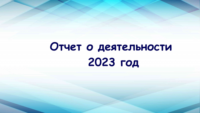 Информация о деятельности организации за 2023 год  