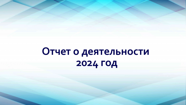 Информация о деятельности организации за 2024 год