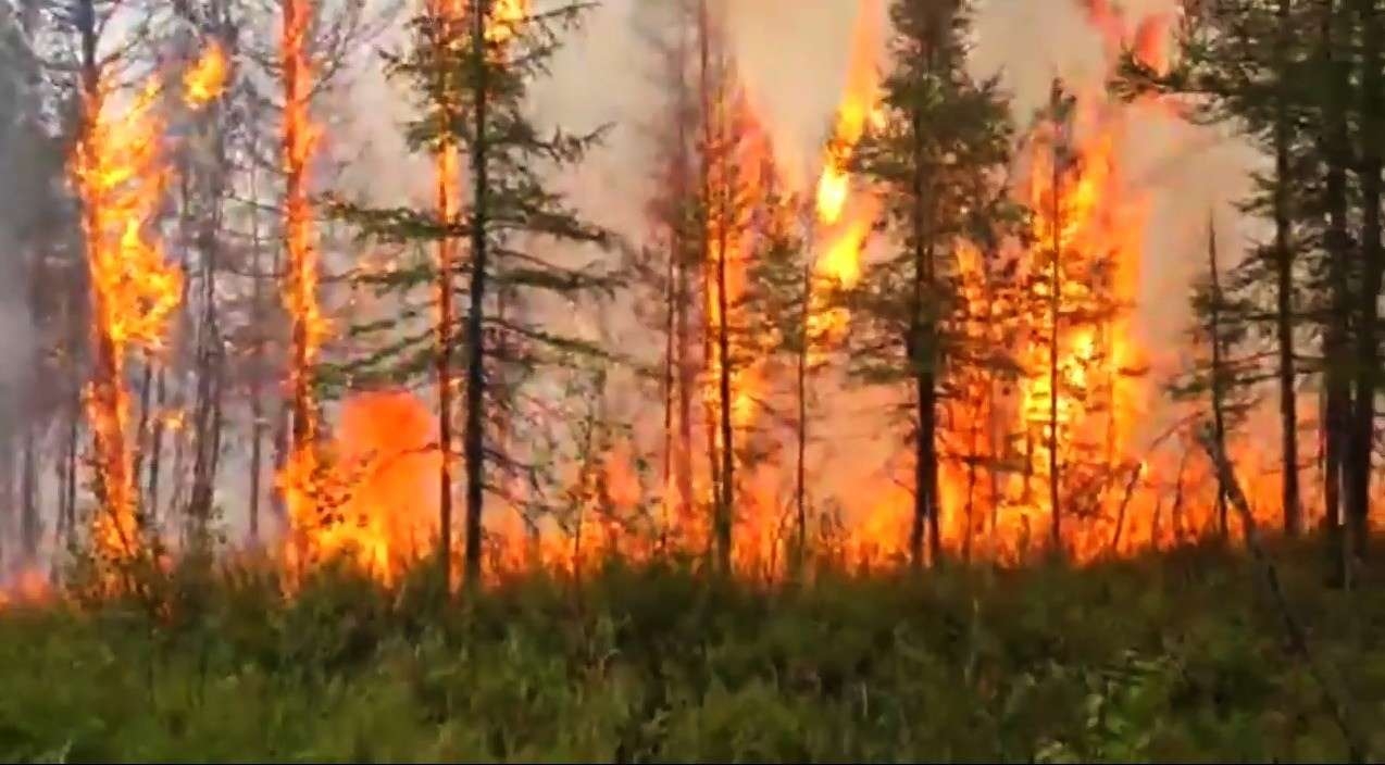 В следствии лесных пожаров. Лесные пожары в Якутии 2021. Якутия Лесные пожары 2021 год. Лесные пожары в Якутии 2022. Якутск пожары 2021.